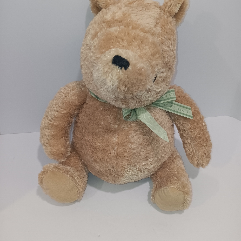 Vintage 2008 Classic Pooh By Disney “A Bear And His Things” Dolly Inc